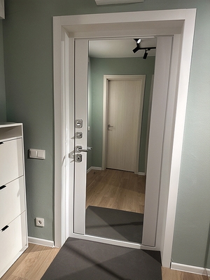 Дверь с ростовым зеркалом