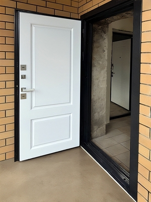 Уличная термодверь в дом